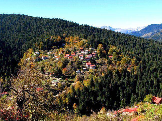 Duplex Επ. Οδός 21 - Κρανιάς - Μηλιάς, Gorgogiri, Koziakas