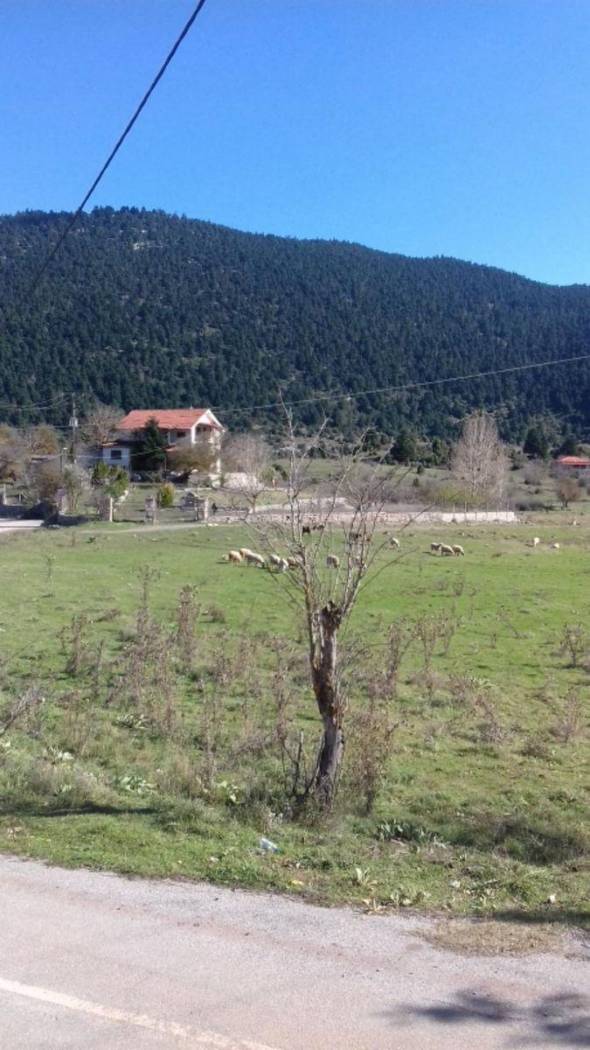 Single family villa Ελικώνας, Center, Livadeia